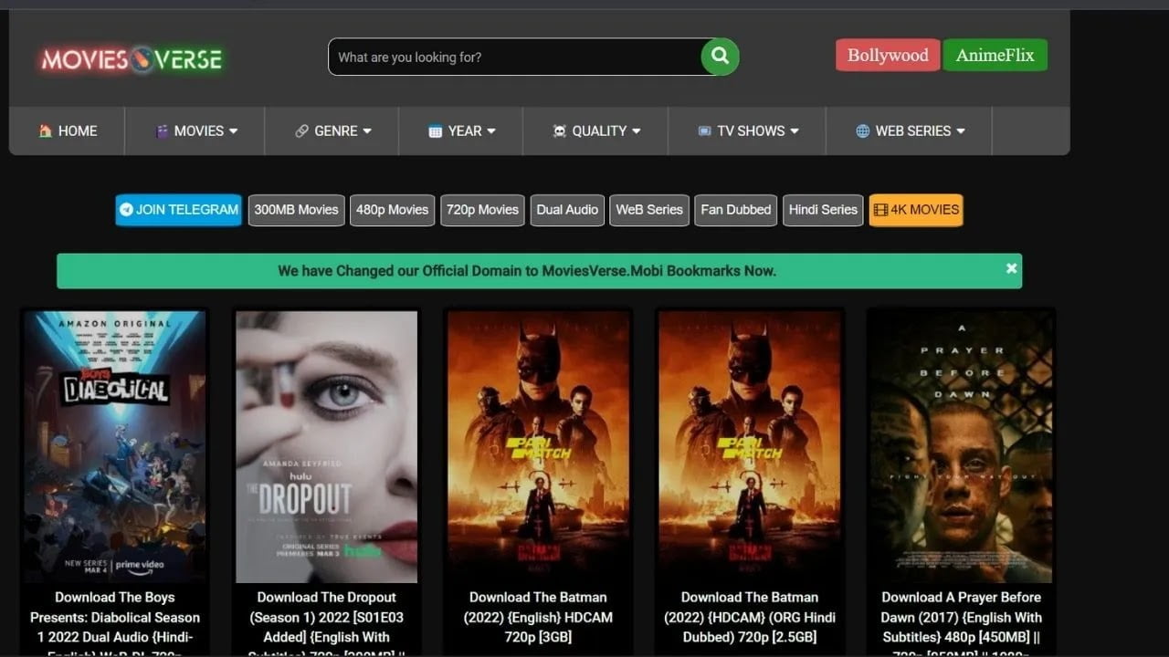 Moviesverse HD Movies download